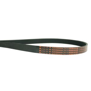 Correia para Tanquinho Mueller Super Pop 13kg | Hutchinson 5PJE JMA815