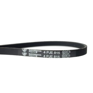 Correia para Tanquinho Mueller Super Pop 10kg | Hutchinson 4PJE JMA815
